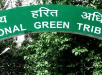NGT allows diesel vehicles for Delhi civic body