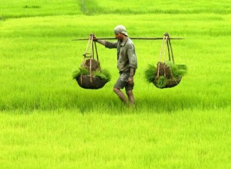 PM Narendra Modi launches DD Kisan channel