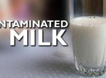 Import ban on imports of milk and milk products from China extended