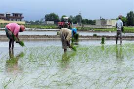 Agriculture minister Radha Mohan Singh launches insurance portal for farmers