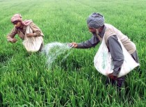 GOI proposes direct transfer of fertilizer subsidy to farmers