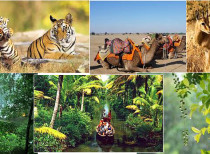 Zoological Survey of India unravels 778 new fauna species: K Venkataraman