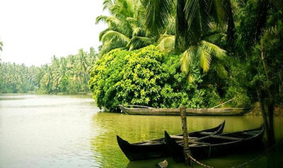 Kerala tourism growth rate falls post liquor ban