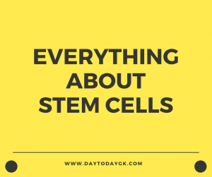 What Exactly are Stem Cells??? D2G Explains!!!