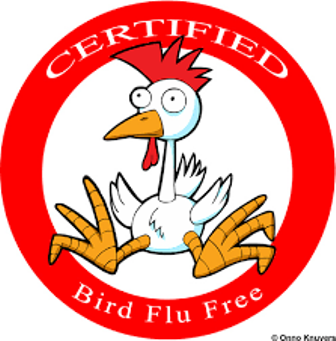 India declares itself free of bird flu