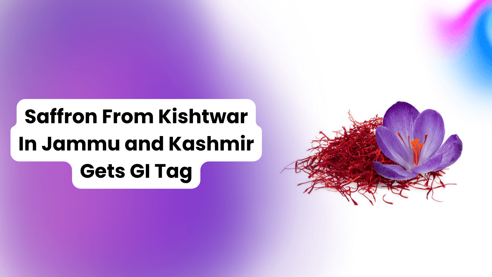 Saffron From Kishtwar In Jammu and Kashmir Gets GI Tag