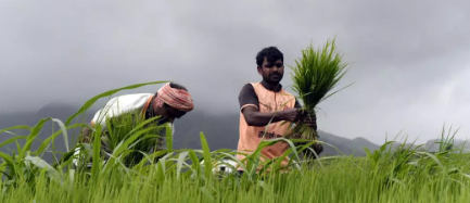 India Secured Eighth Position in Global Agricultural Exports