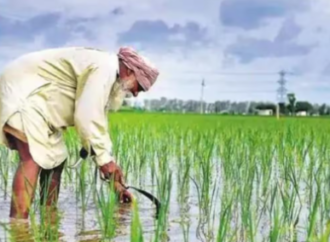 Haryana Becomes First State to Procure All Crops at MSP